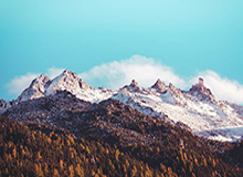 娱乐平台-勇士又亏一笔钱！奥克兰算旧账索要4000万